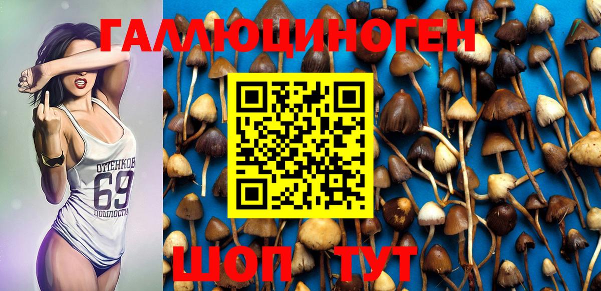 Галлюциногенные грибы MAGIC MUSHROOMS Среднеуральск
